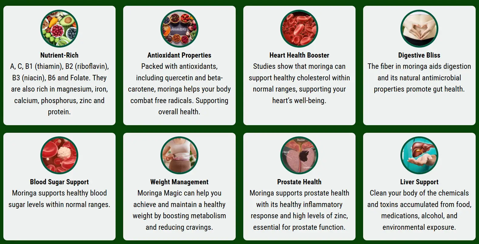 Moringa Magic